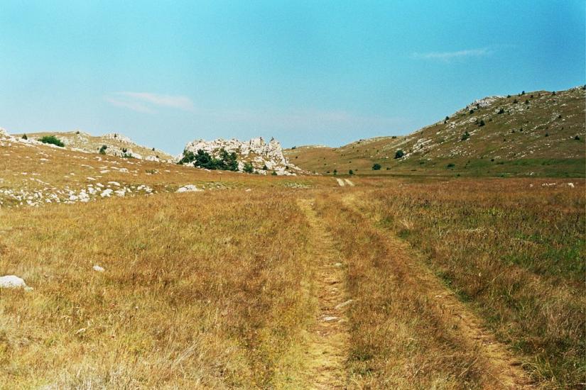 Запрудне з panoramio.com - Запрудне