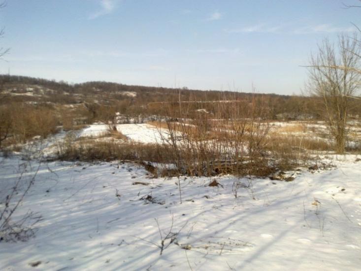 Зайцеве з panoramio.com - Зайцеве