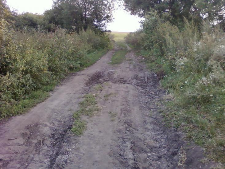 Сальник з panoramio.com - Сальник