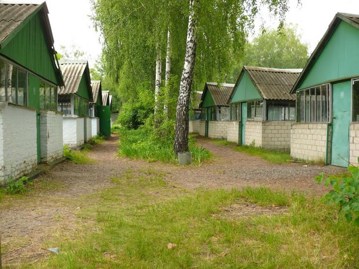 Рокитне з panoramio.com - Рокитне