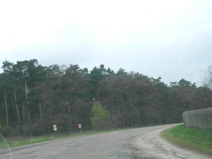 Жовтневе з panoramio.com - Квітневе