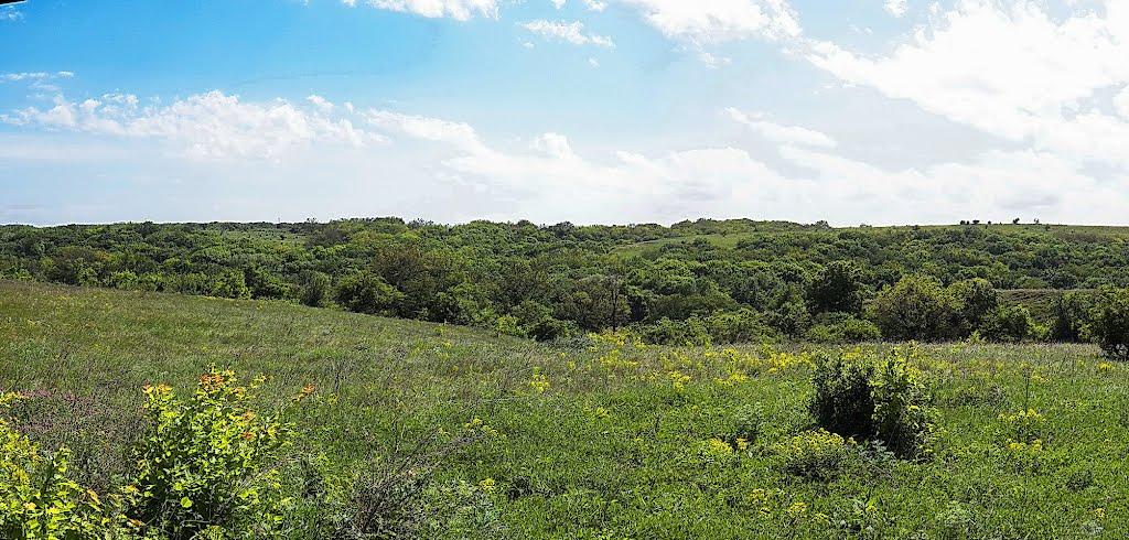 Данилове з panoramio.com - Danylove