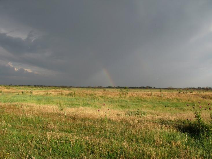 Ліски з panoramio.com - Лески