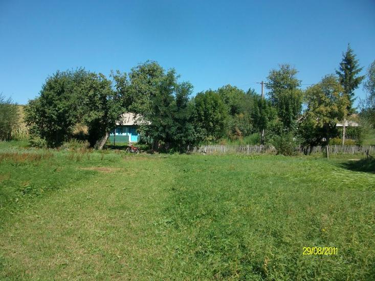 Тарасівці з panoramio.com - Тарасовцы