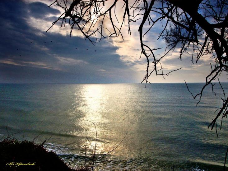 Курортне з panoramio.com - Курортне