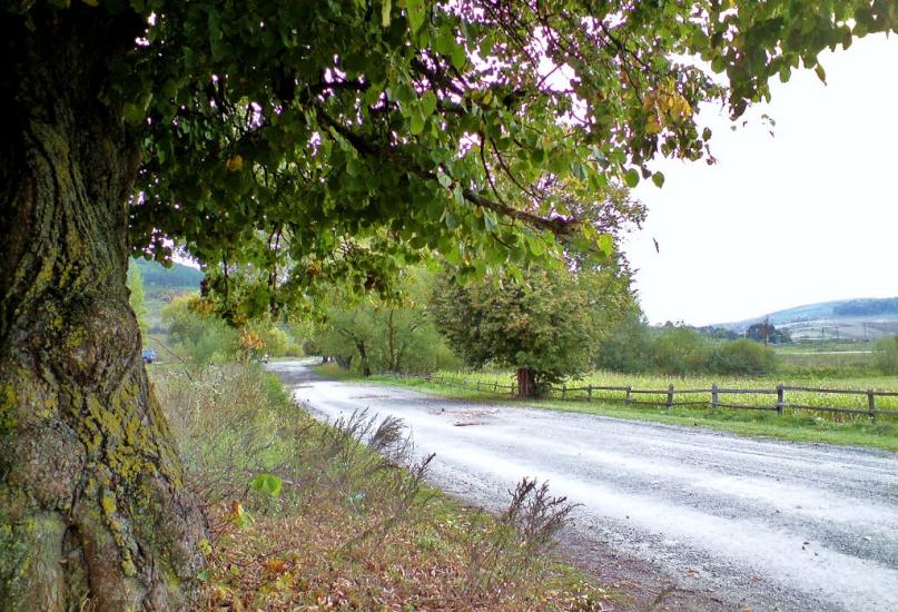 Павлів з panoramio.com - Pavliv