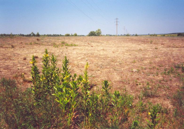 Лисняки з panoramio.com - Лисняки