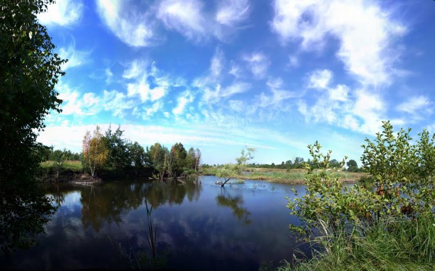 Новий Яр з panoramio.com - Новий Яр