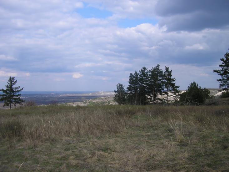 Пискунівка з panoramio.com - Pyskunivka