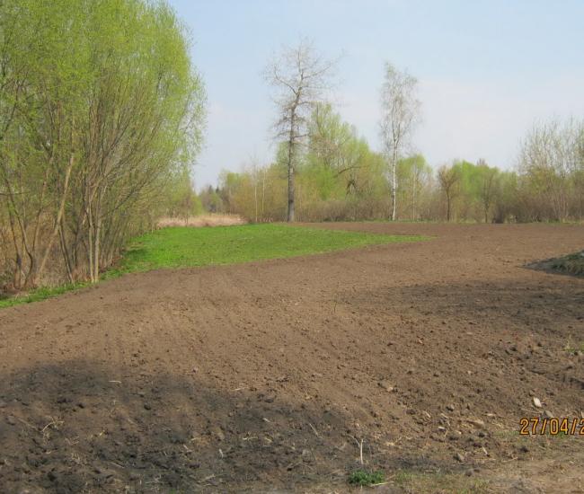 Гужівка з panoramio.com - Гужівка