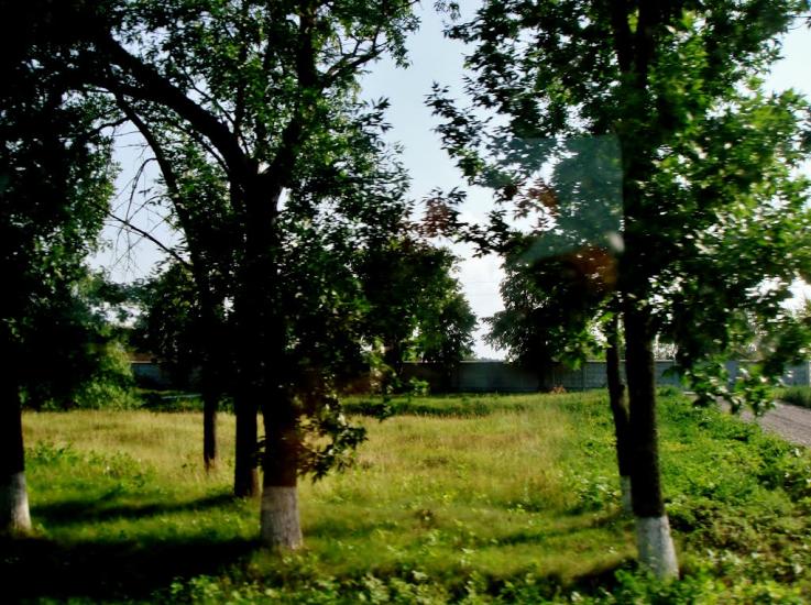 Тараща з panoramio.com - Тараща