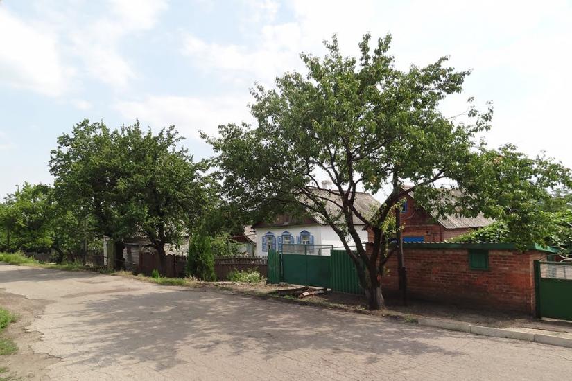Новгородське з panoramio.com - Новгородське
