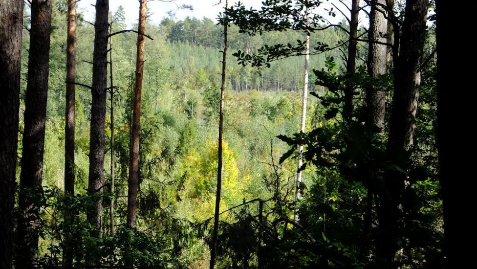 Нова Мощаниця з panoramio.com - Новая Мощаница