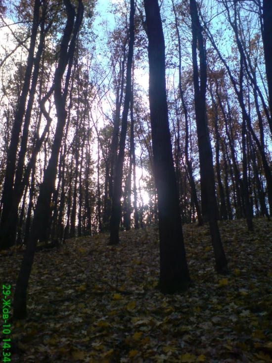 Старий Мерчик з panoramio.com - Старий Мерчик