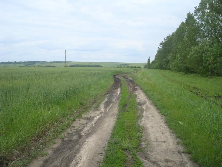 Стуфчинці з panoramio.com - Stufchyntsi