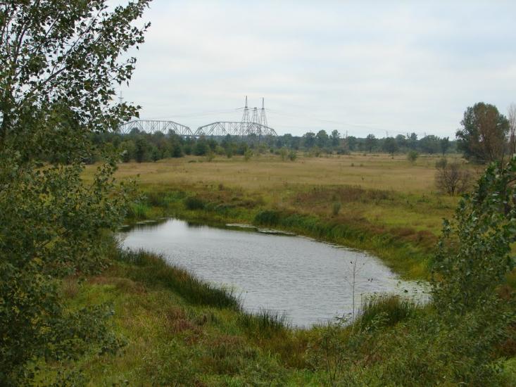 Неданчичі з panoramio.com - Nedanchychi