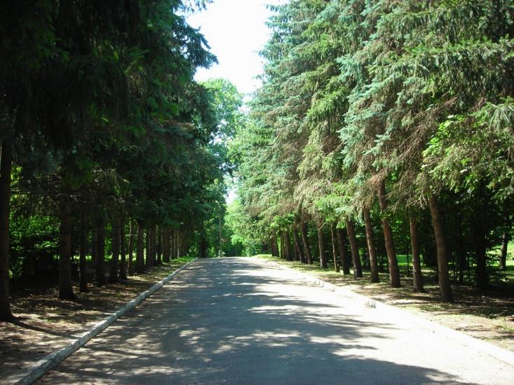 Городище з panoramio.com - Городище