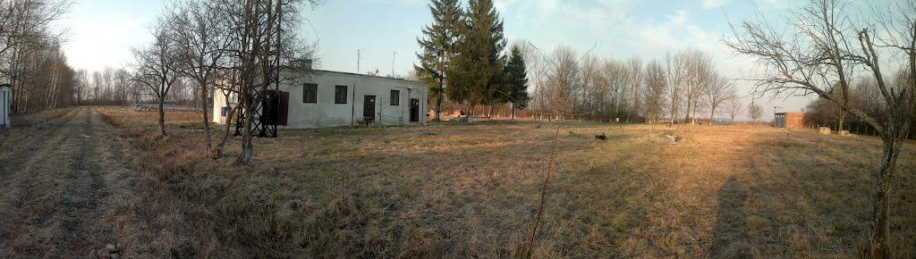 Пиняни з panoramio.com - Пиняни