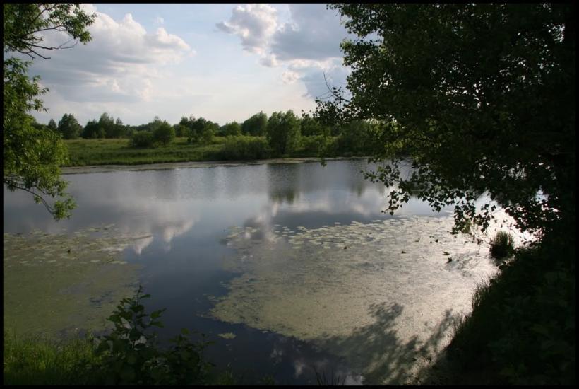 Придеснянське з panoramio.com - Придеснянське