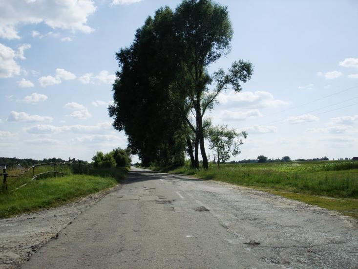 Кончаки з panoramio.com - Кончаки