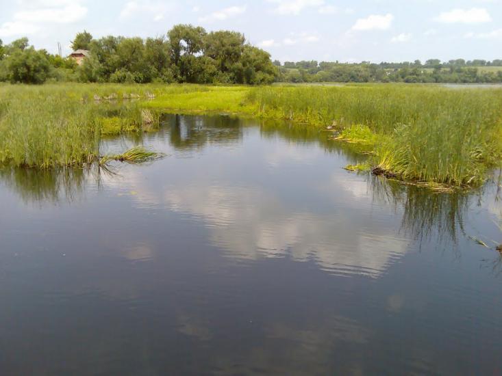 Комсомольське з panoramio.com - Комсомольське