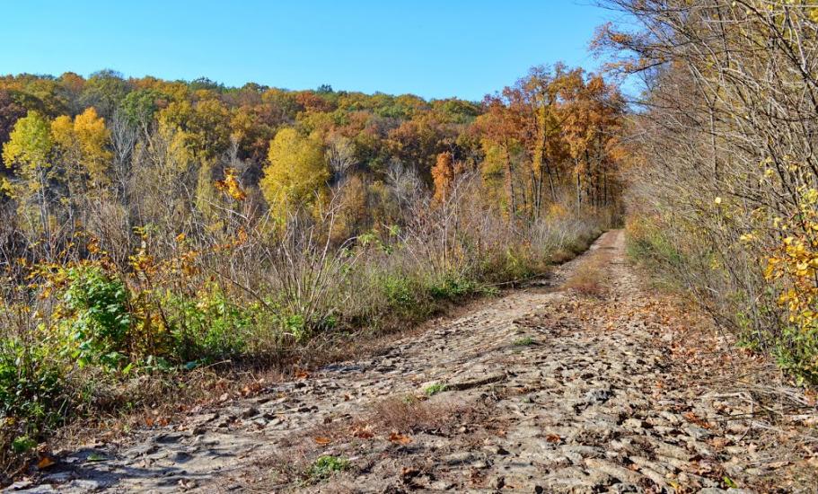 Балаклея з panoramio.com - Балаклея