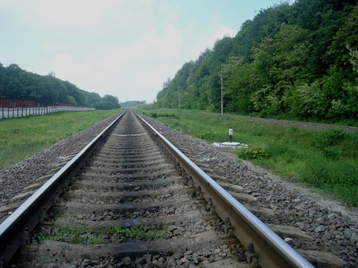 Нестерівці з panoramio.com - Нестеровцы