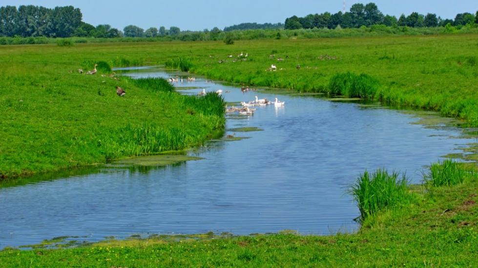 Ремчиці з panoramio.com - Ремчиці