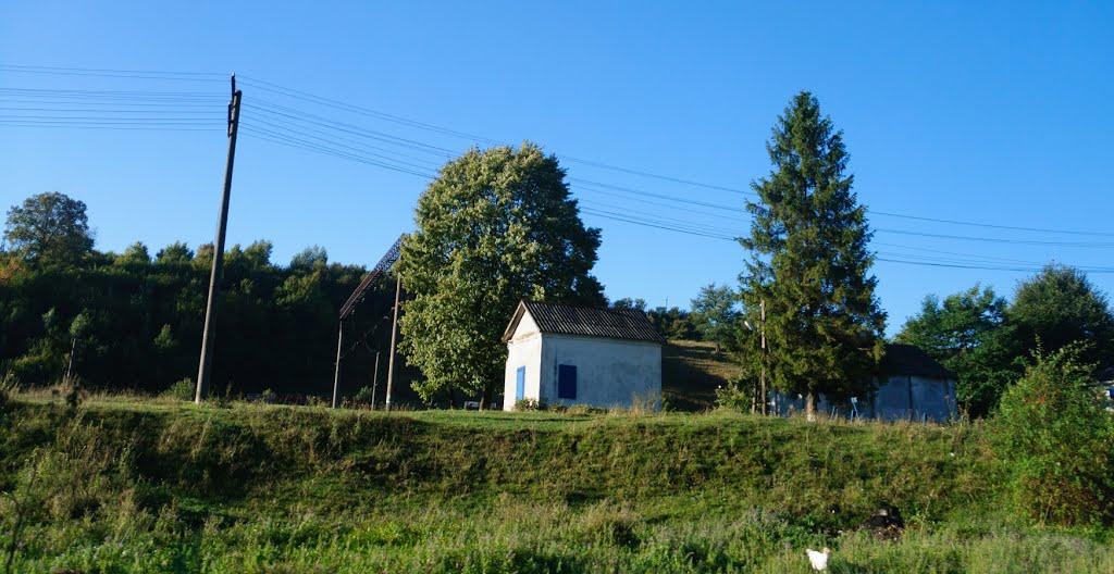 Ставне з panoramio.com - Stavne