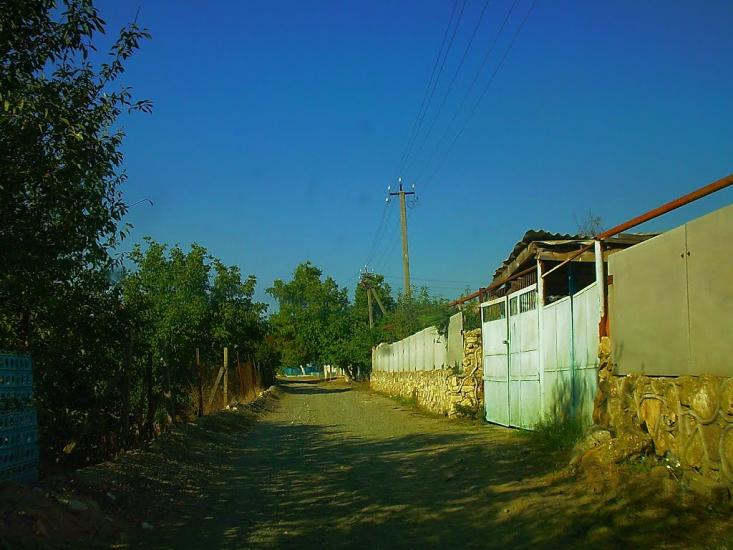 Каштани з panoramio.com - Каштани