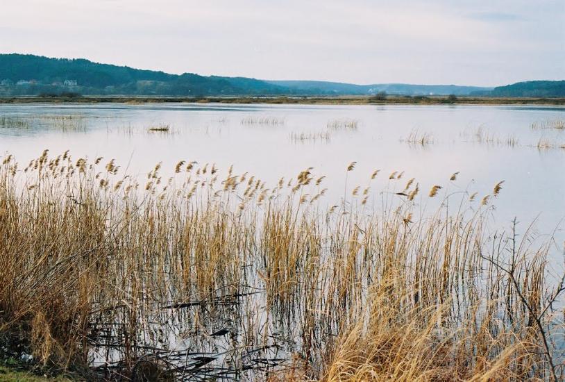 Івано-Франкове з panoramio.com - Ivano-Frankove