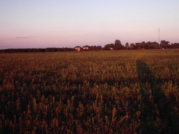 Любомль з panoramio.com - Любомль