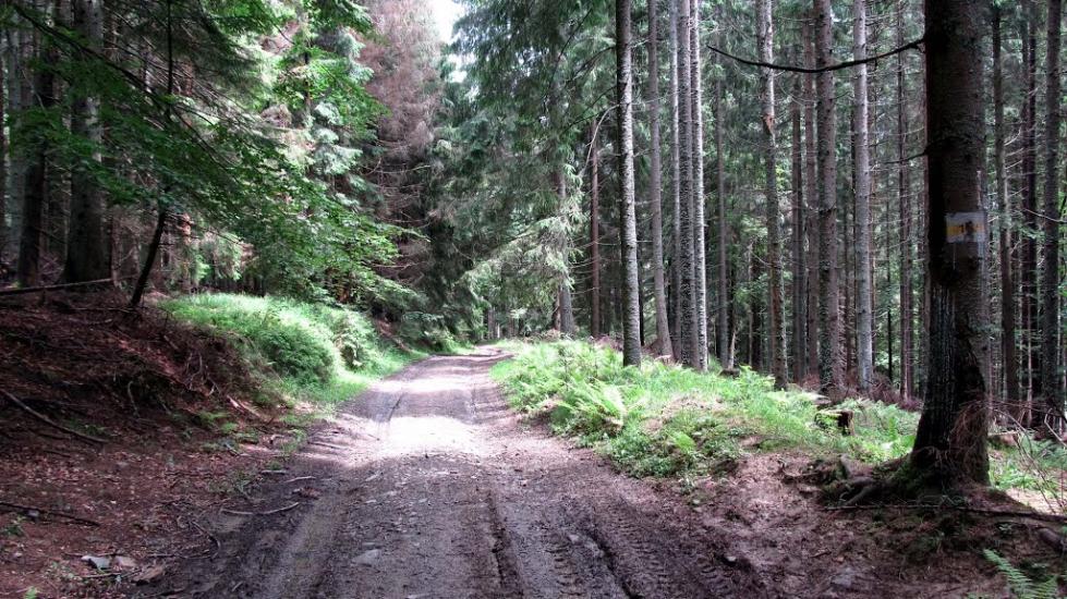 Тітківці з panoramio.com - Тетковцы