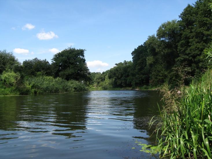 Рокитне з panoramio.com - Ракитное