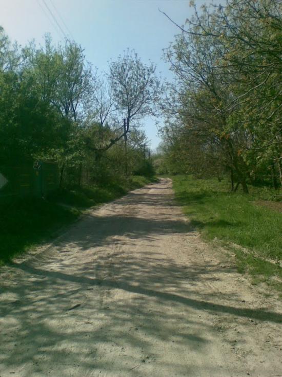 Ковалівка з panoramio.com - Ковалівка
