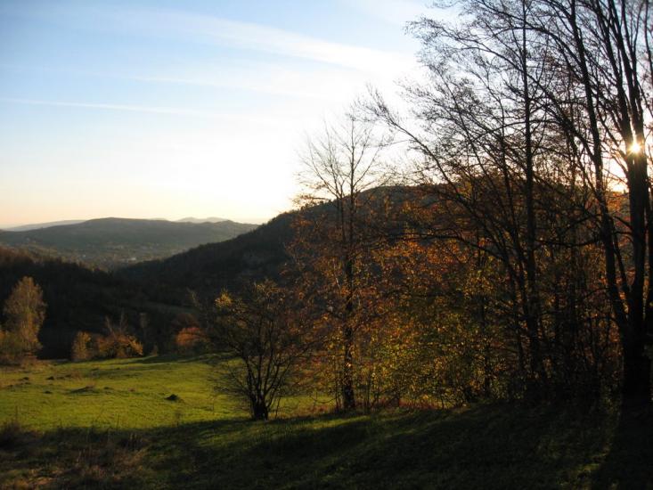 Пасічна з panoramio.com - Пасічна