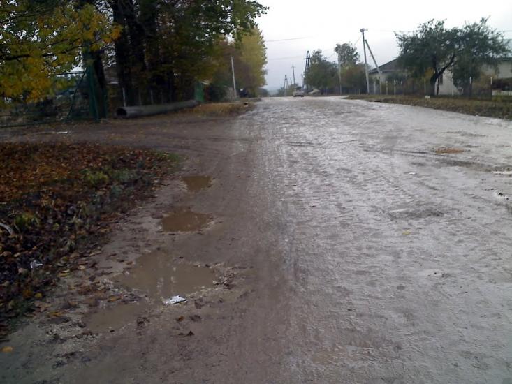 Великі Бірки з panoramio.com - Великие Борки