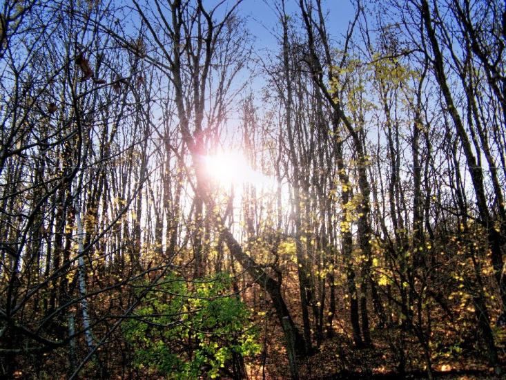 Високий з panoramio.com - Высокий