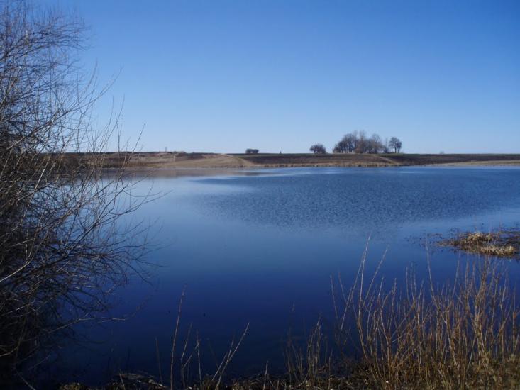 Рогізне з panoramio.com - Рогозное