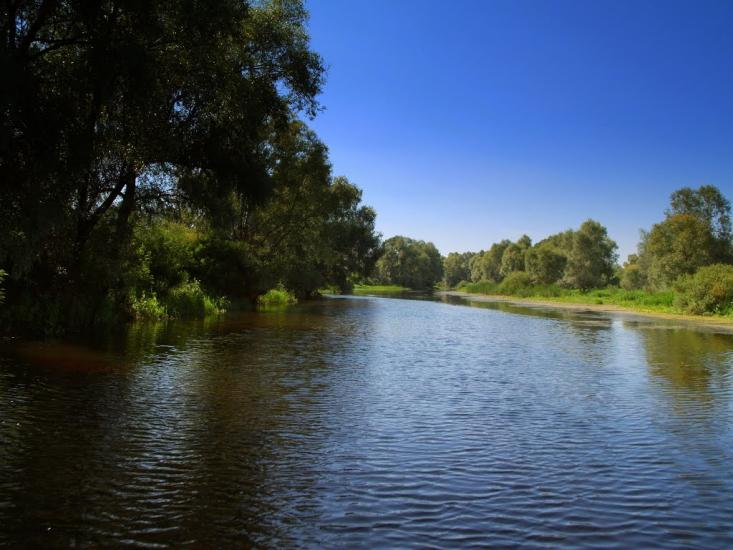 Хрещатик з panoramio.com - Крещатик