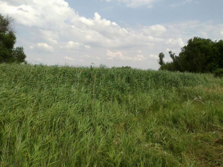 Озерянівка з panoramio.com - Озерянівка