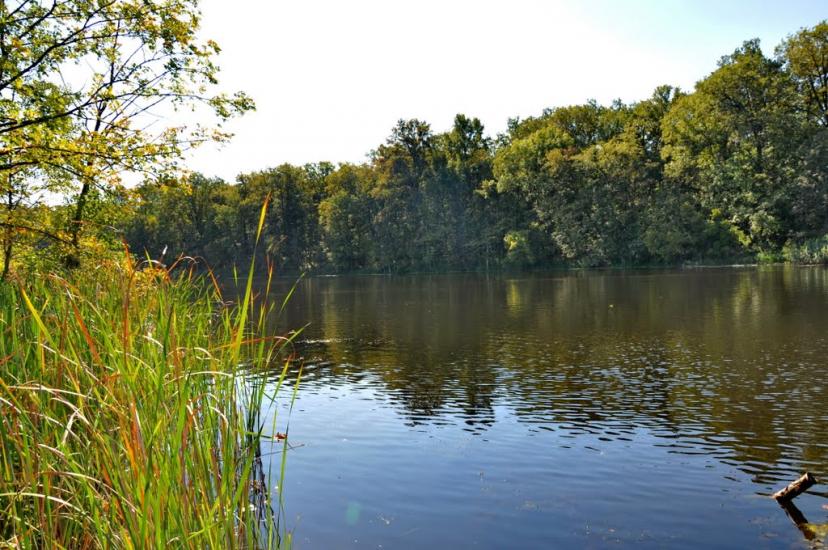 Серебрянка з panoramio.com - Серебрянка