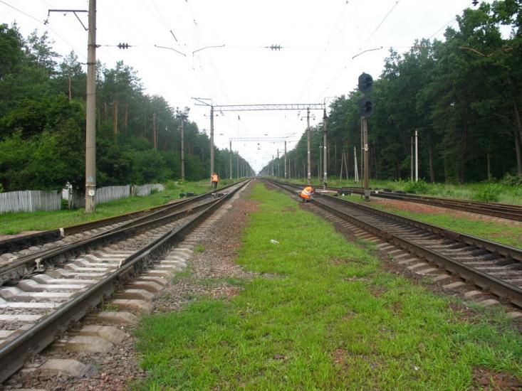 Княжичі з panoramio.com - Княжичі