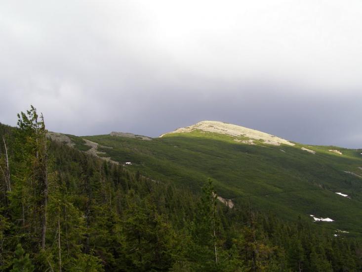 Кузьминець з panoramio.com - Кузьминець