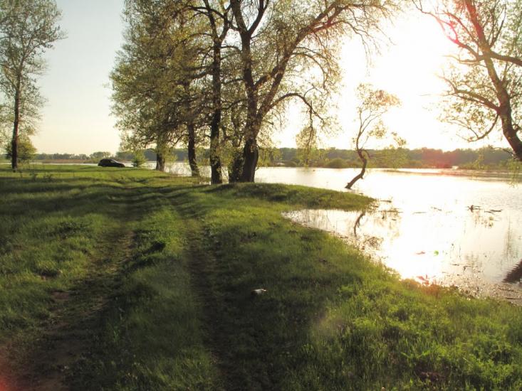Остер з panoramio.com - Oster