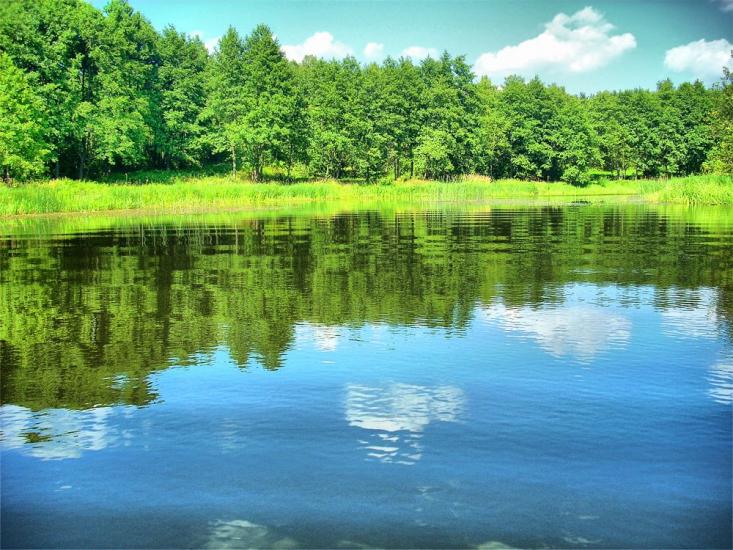 Ушомир з panoramio.com - Ушомир