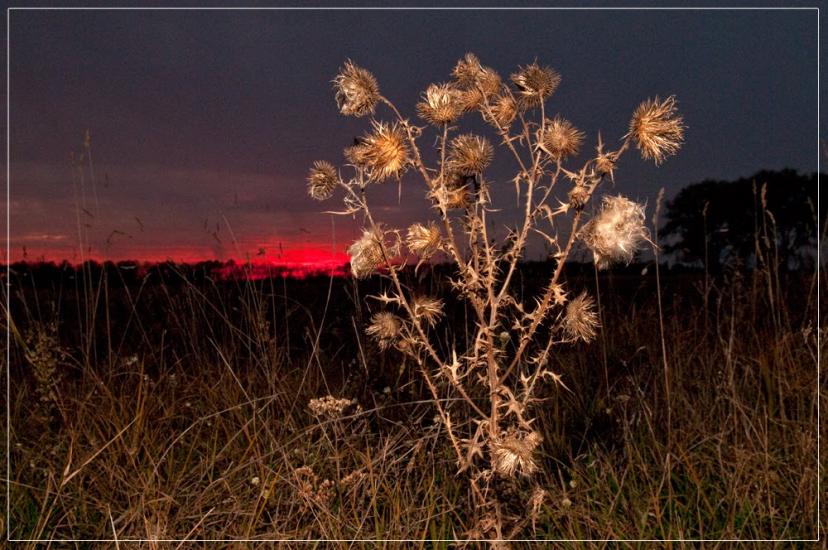 Гранітне з panoramio.com - Гранітне