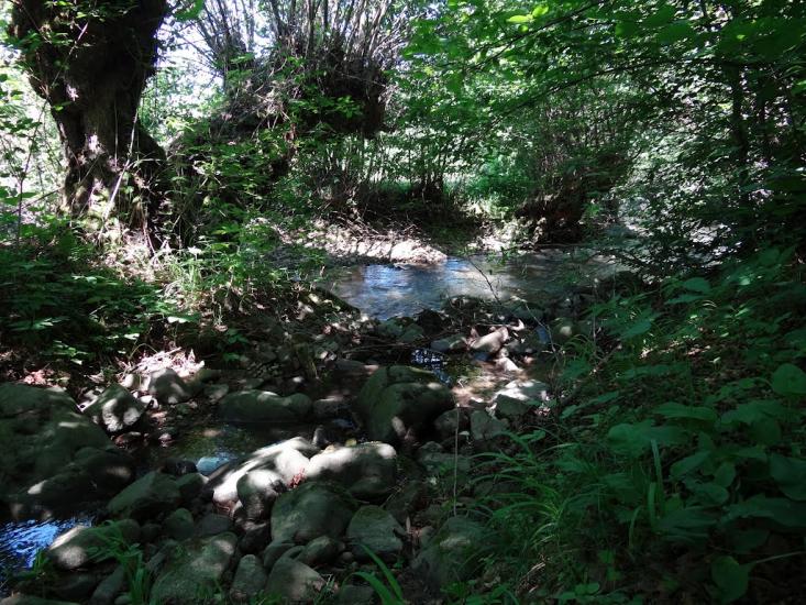 Тячів з panoramio.com - Тячів