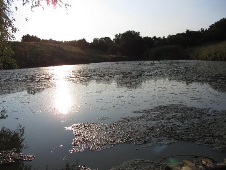 Попівка з panoramio.com - Попівка