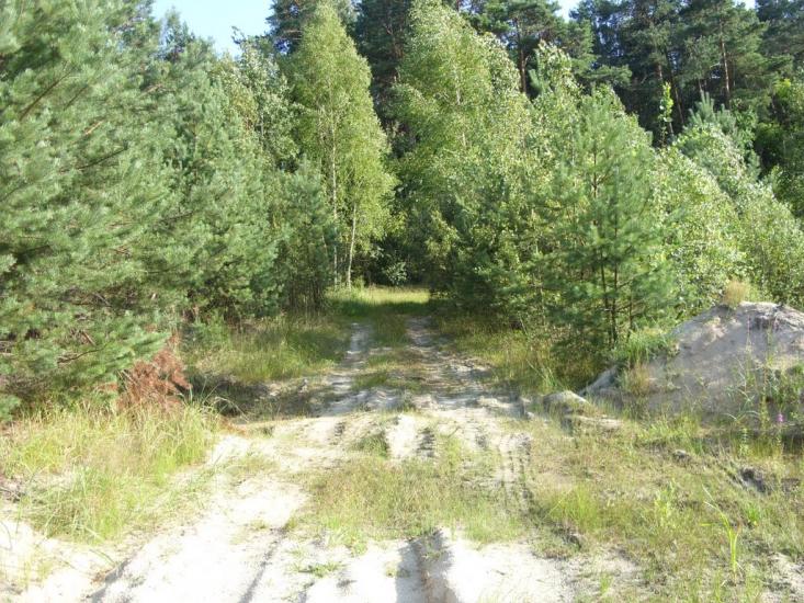 Турійськ з panoramio.com - Турийск